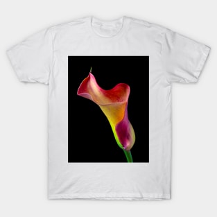 Wavy Colorful Calla lily T-Shirt